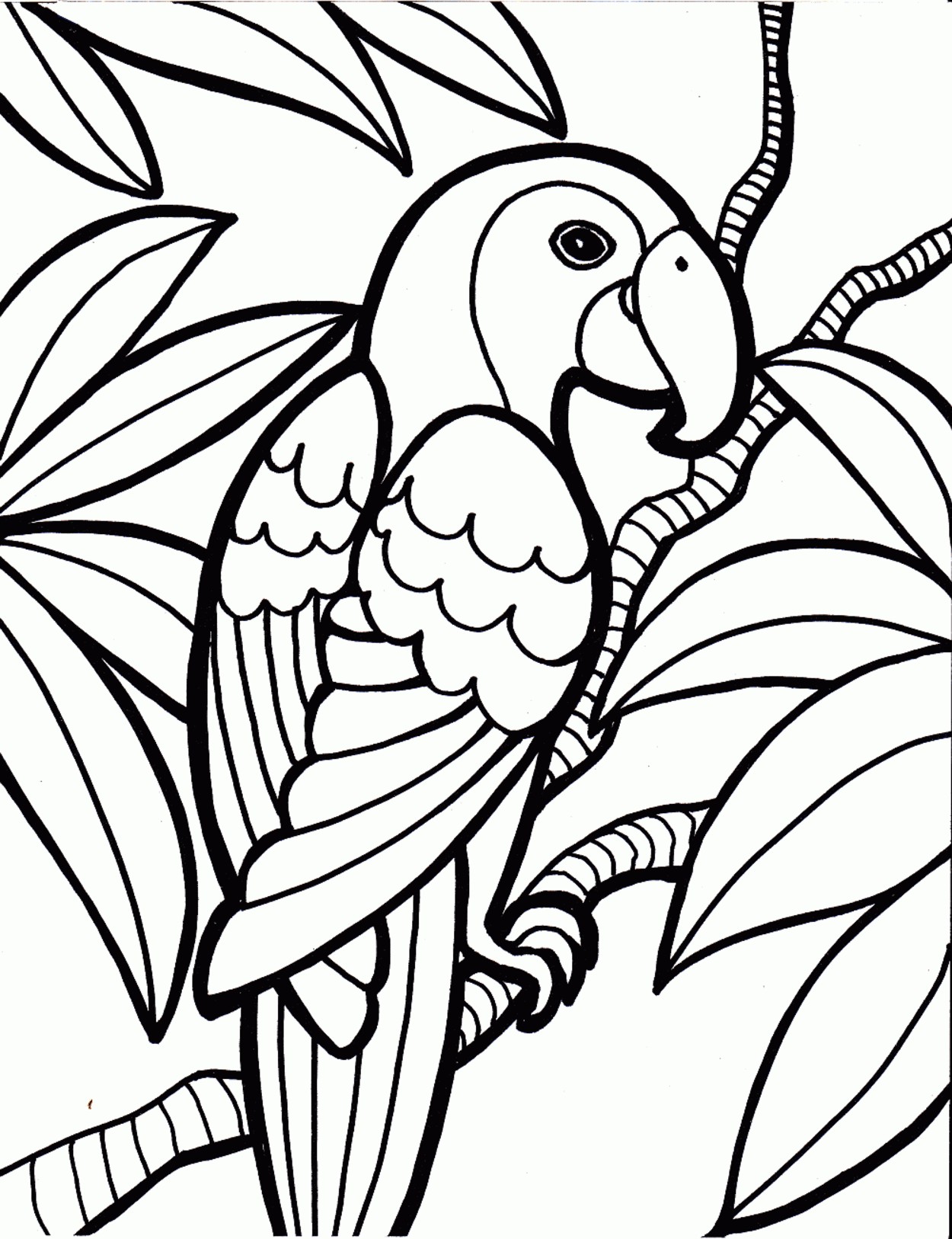 1250x1626 New Rainforest Coloring Pages To Print With 18