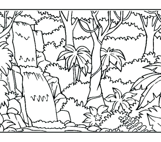 678x600 Printable Rainforest Coloring Pages Colouring Pages To Print