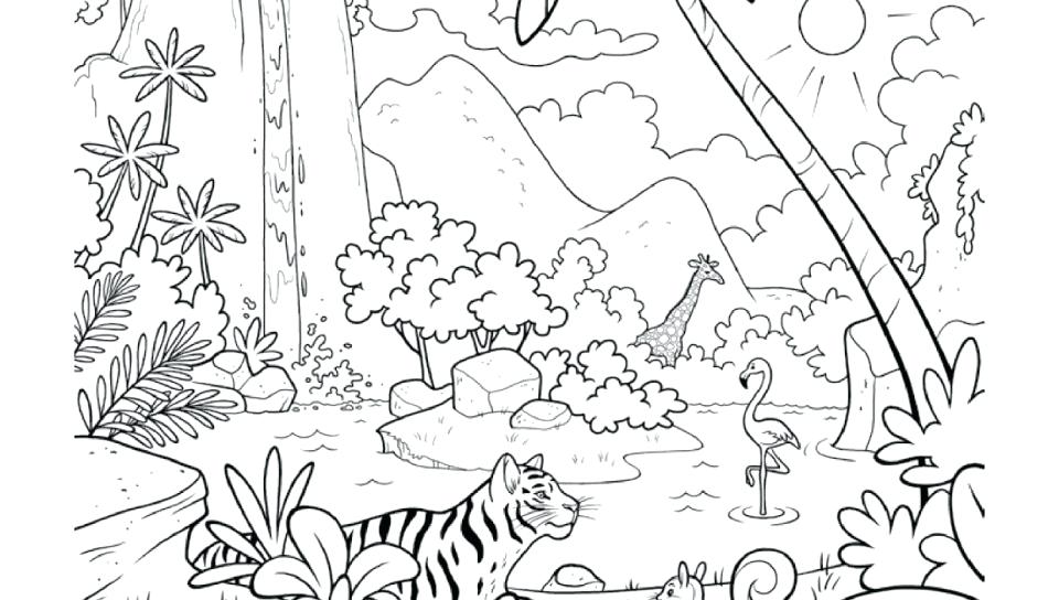 960x544 Rainforest Coloring Page Animals Coloring Pages Free To Color