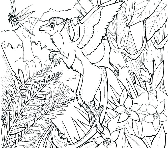 Rainforest Coloring Pages To Print at GetColorings.com | Free printable