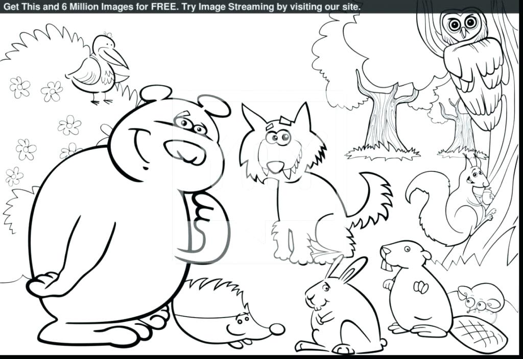 1024x704 Rainforest Colouring Pages To Print Large Size Of Coloring Pages