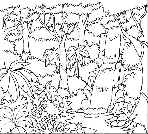 Rainforest Coloring Pages To Print at GetColorings.com | Free printable ...