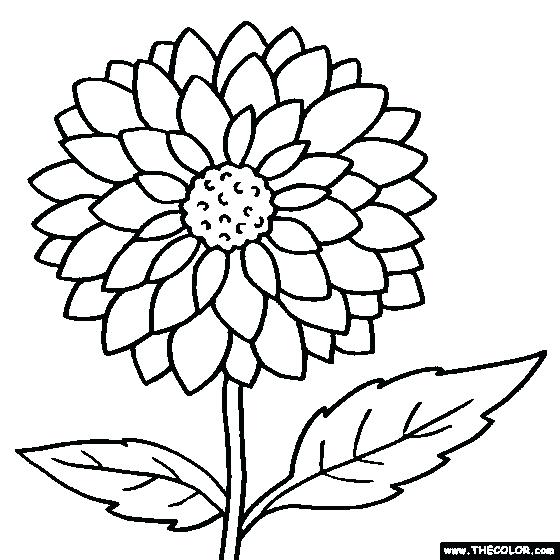 Printable Coloring Pages Animals Rainforest Kids Coloring Flower 560x560 Printable Coloring Pages Animals Rainforest Kids Coloring Flower