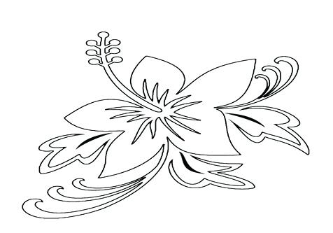 Shrub Coloring Book Pages Page Image Images Exotic Flowers 476x333 Shrub Coloring Book Pages Page Image Images Exotic Flowers