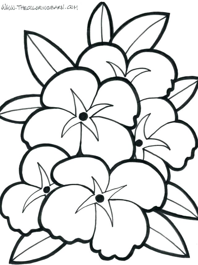 Tropical Flowers Coloring Pages Many Interesting Cliparts New 640x856 Tropical Flowers Coloring Pages Many Interesting Cliparts New