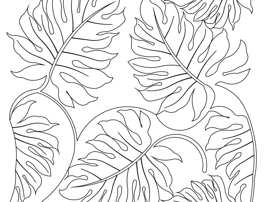 Plants Coloring Pages Best Plants Coloring Page For Kids Drawing 1000x768 Plants Coloring Pages Best Plants Coloring Page For Kids Drawing