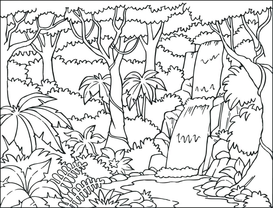 Rainforest Coloring Pages Drawn Coloring Page Pencil And In Color 940x715 Rainforest Coloring Pages Drawn Coloring Page Pencil And In Color