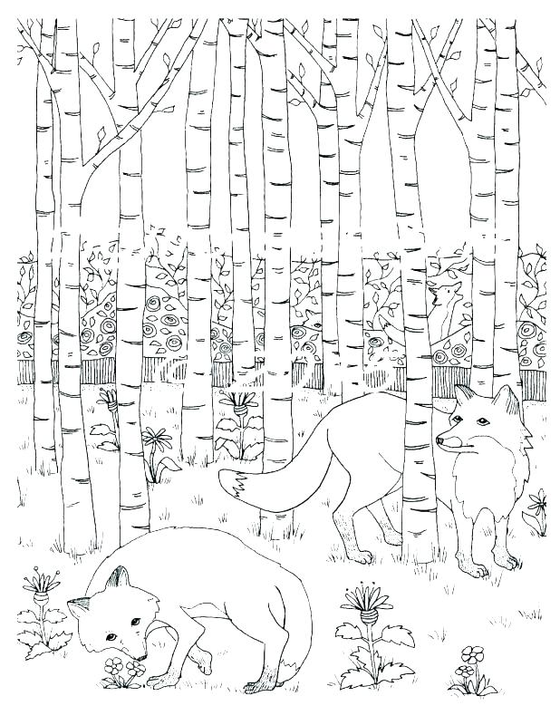 Rainforest Plants And Flowers Coloring Pages Rain Forest Coloring 618x800 Rainforest Plants And Flowers Coloring Pages Rain Forest Coloring