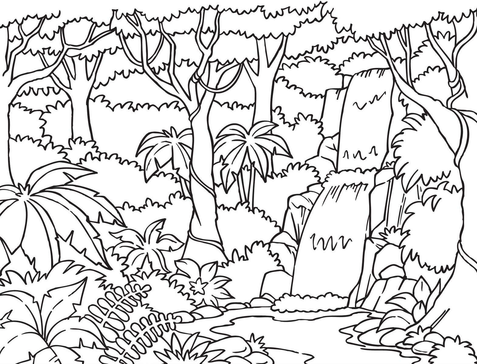 1570x1199 Rainforest Coloring Pages To Print