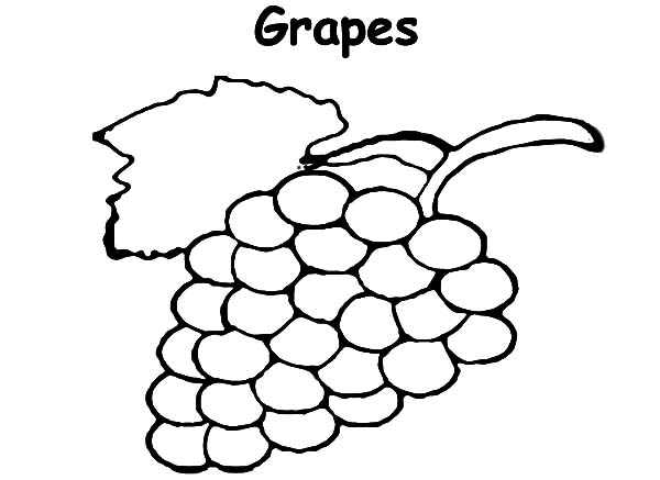Grapes For Raisins Coloring Pages Grapes For Raisins Coloring 600x437 Grapes For Raisins Coloring Pages Grapes For Raisins Coloring