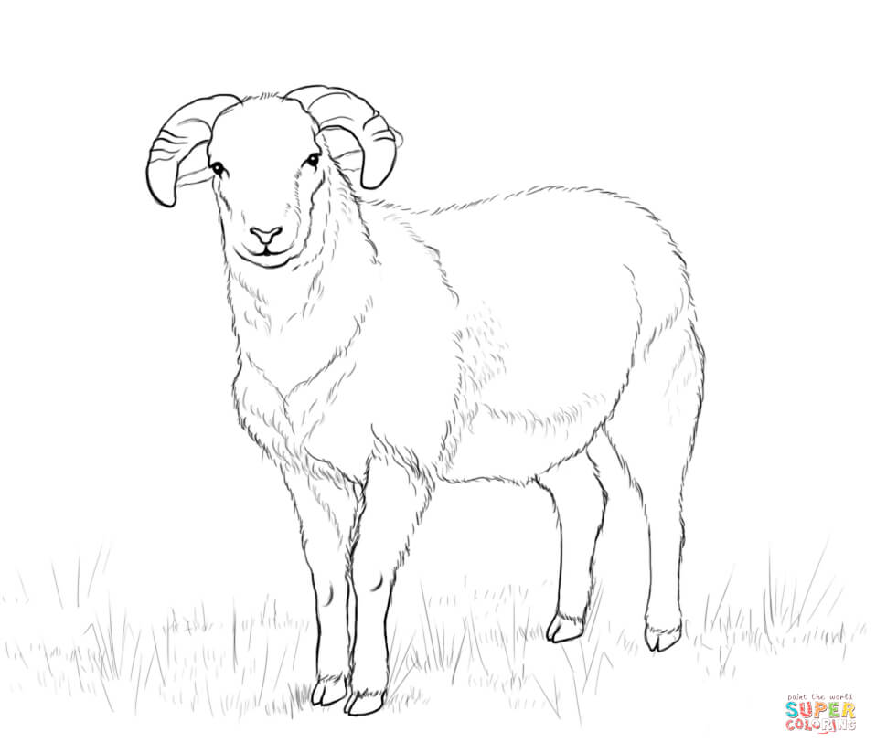 958x824 Ram Download For Coloring Page