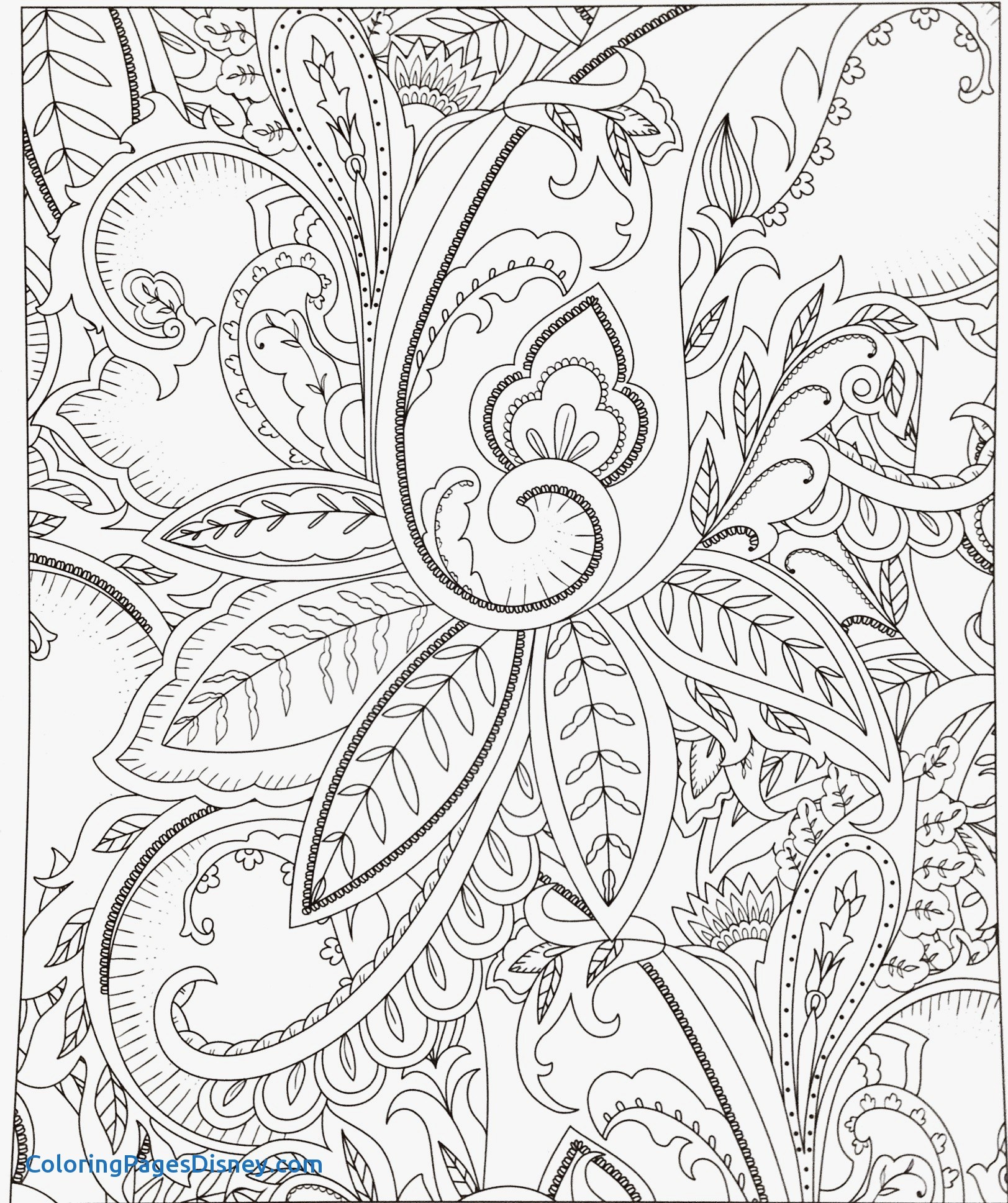 1623x1937 Rango Coloring Pages Elegant Best Song The Sea Shop Coloring Pages