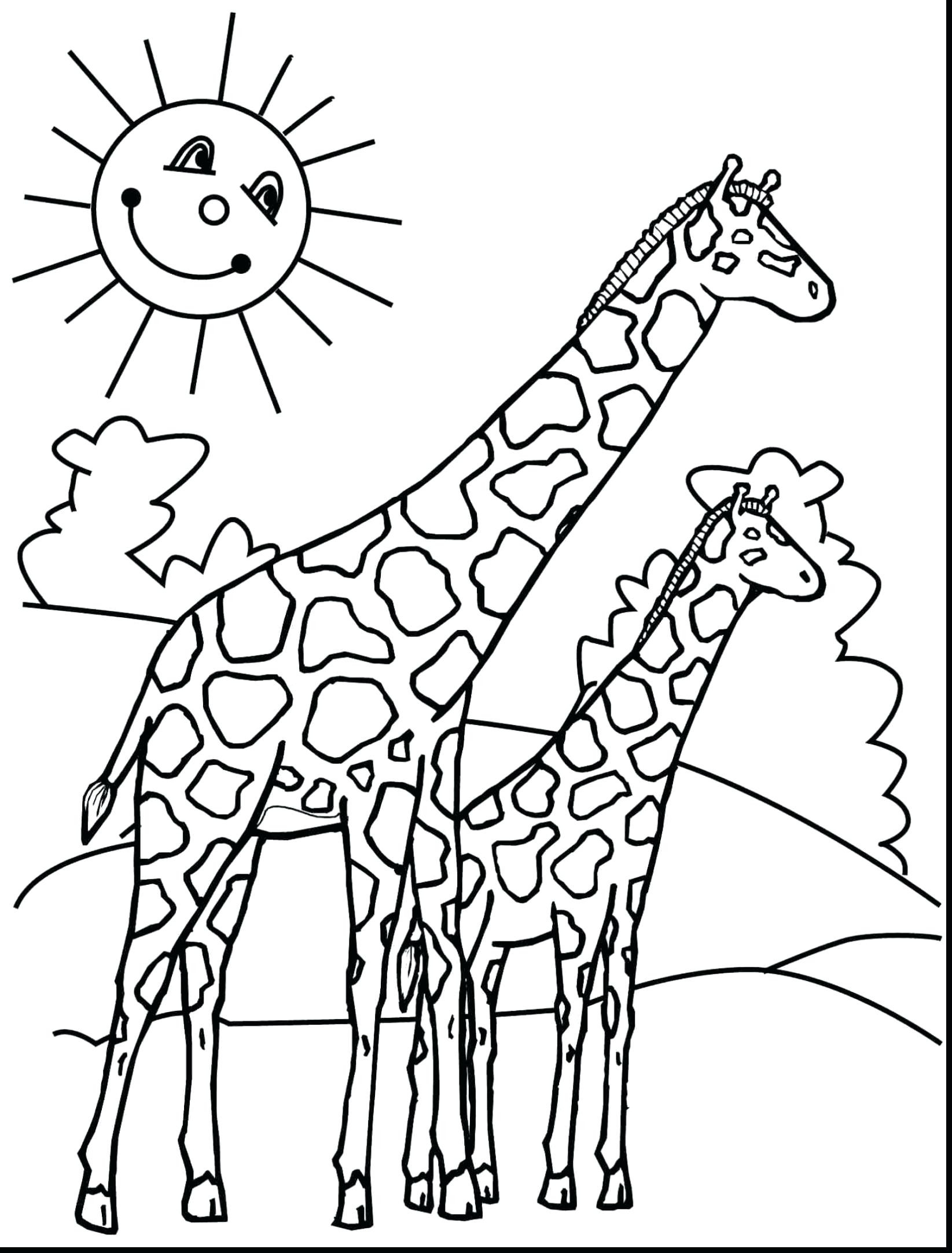 1645x2164 49 Awesome Image Of Llama Coloring Pages Oil Paintings
