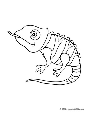 363x470 Chameleon Coloring Pages, Videos For Kids, Kids Crafts
