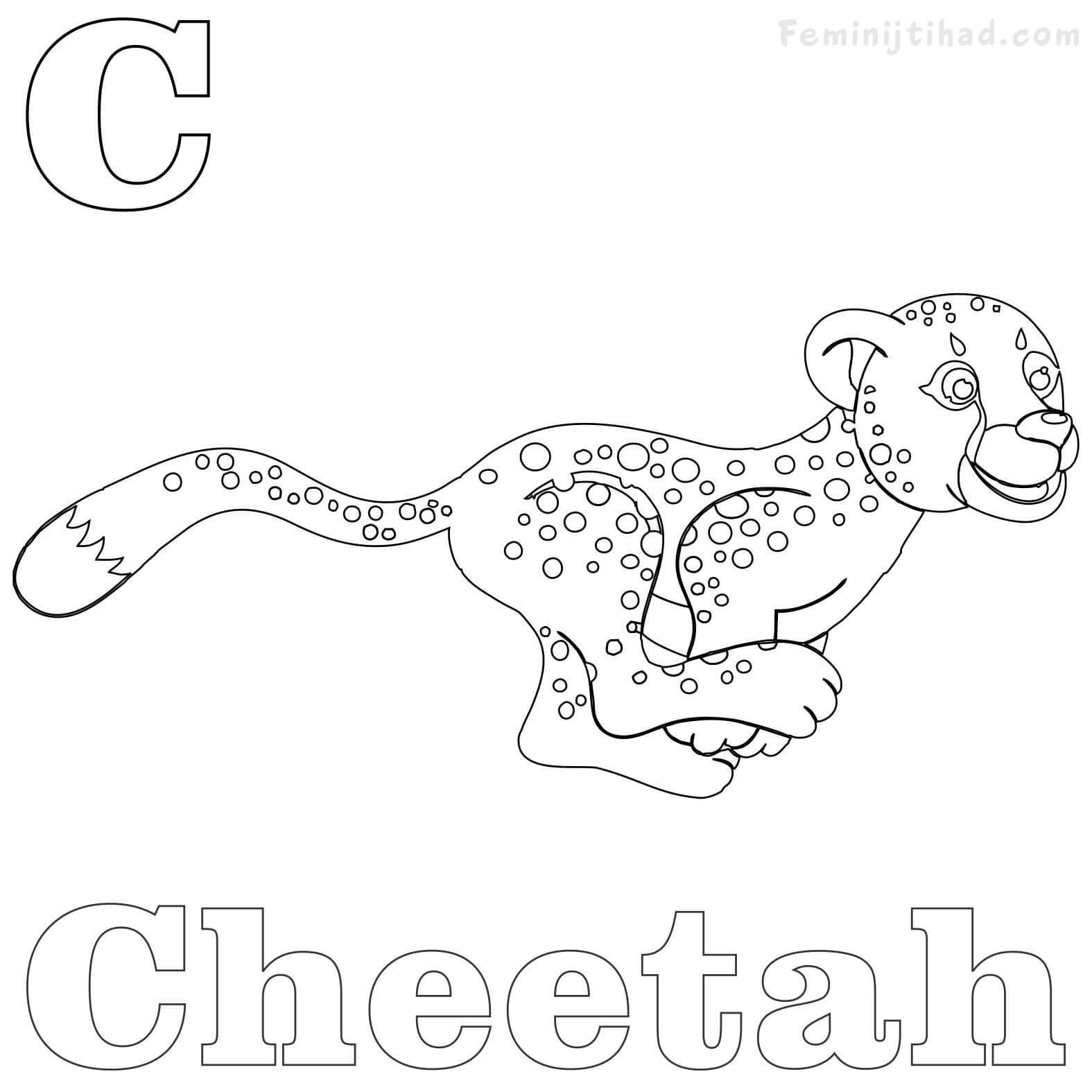 Unbelievable Baby Cheetah Coloring Sheets Of Animals Printable 1575x1575 Unbelievable Baby Cheetah Coloring Sheets Of Animals Printable