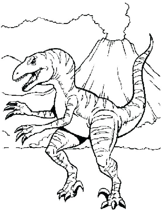 554x730 Velociraptor Coloring Page Coloring Page Coloring Pages Coloring
