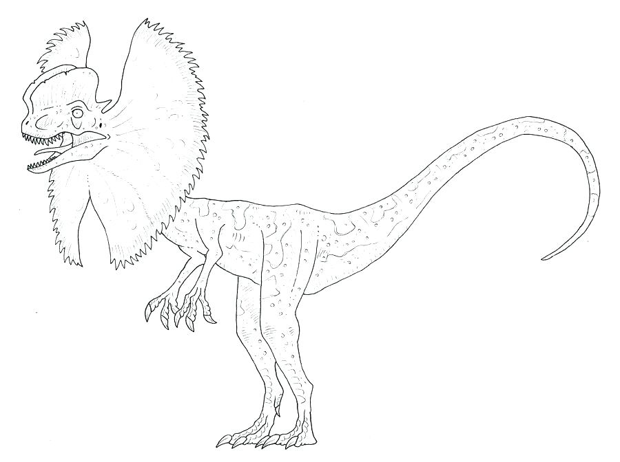 900x672 Velociraptor Coloring Pages Coloring Pages Coloring Pages Funny