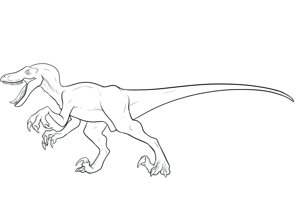 1024x732 Velociraptor Para Colorear Coloring Pages Imagenes De Velociraptor