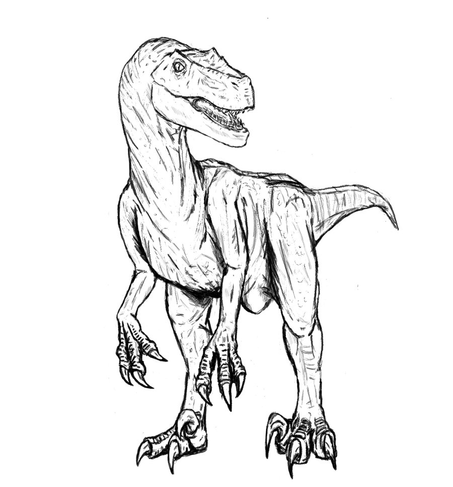 900x966 Velociraptor Coloring Pages