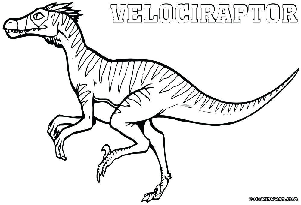 1000x683 Velociraptor Coloring Pages Coloring Pages Coloring Pages Jurassic