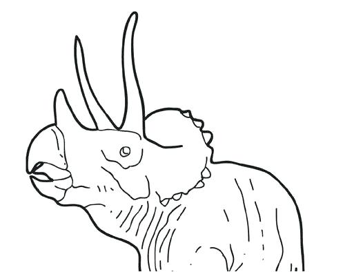 497x394 Velociraptor Coloring Sheets Dinosaur Coloring Page Dinosaur