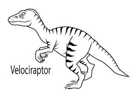 265x183 Velociraptor Dinosaur Coloring Page