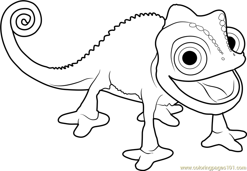 Pascal The Chameleon Coloring Page 799x553 Pascal The Chameleon Coloring Page