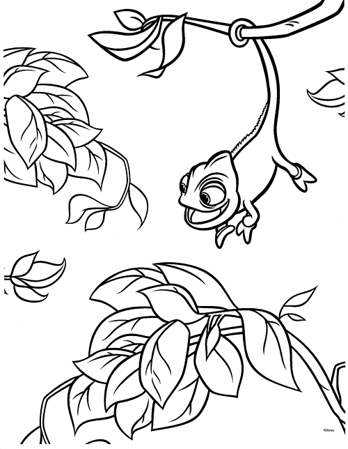 Coloring Pages Tangled Pascal Best Of Walt Disney Page 500x644 Coloring Pages Tangled Pascal Best Of Walt Disney Page