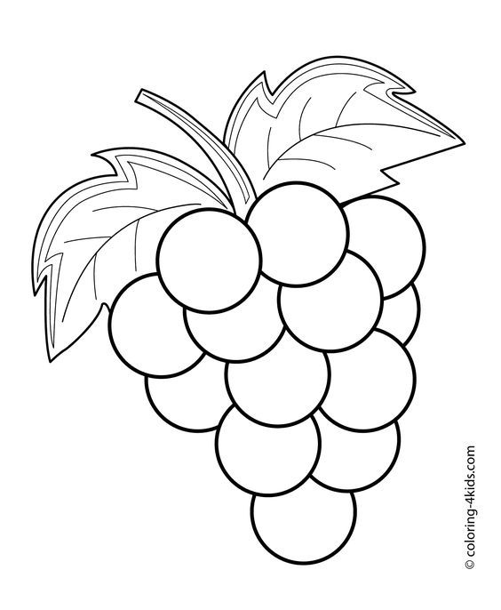 564x686 Grapes Fruits And Berries Coloring Pages For Kids, Printable Free
