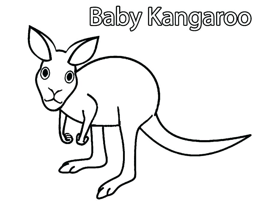 850x708 Rat Coloring Pages Rat Coloring Pages Kangaroo Coloring Page