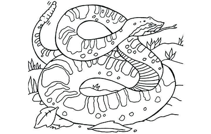 720x460 Rattlesnake Coloring Page Coloring Pages Snake Snake Coloring Page