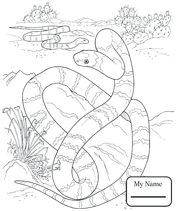 614x734 Rattlesnake Coloring Pages Rattlesnake Coloring Page Coloring