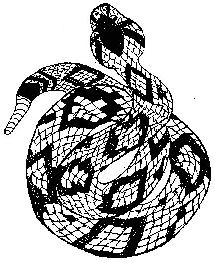 436x533 Best Of Rattlesnakes Coloring Pages Coloring Ws