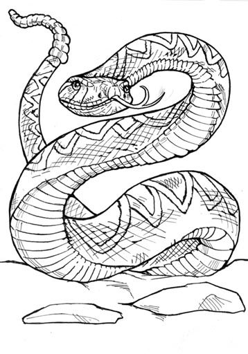 358x512 Viper Snake Coloring Page Beautiful Rattle Snake Drawing
