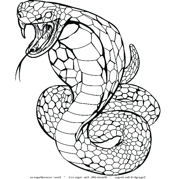 600x612 Coloring Pages Snake
