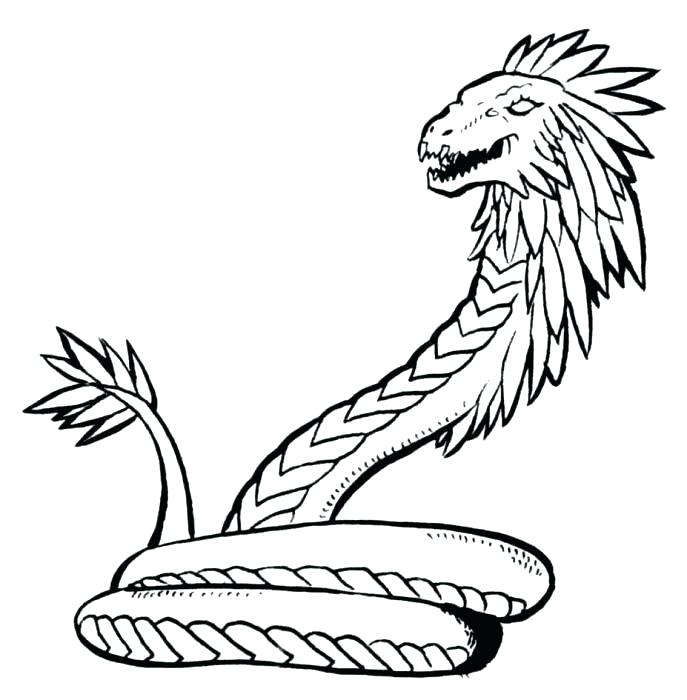 687x700 Snake Coloring Page Impair.co