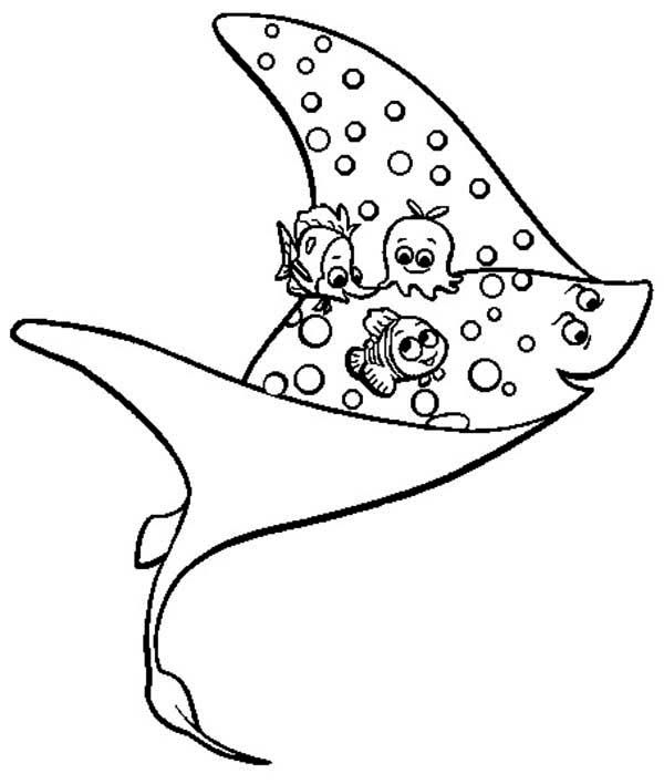 Ray Coloring Pages