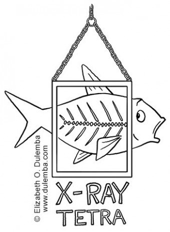 339x461 Dulemba Coloring Page Tuesday