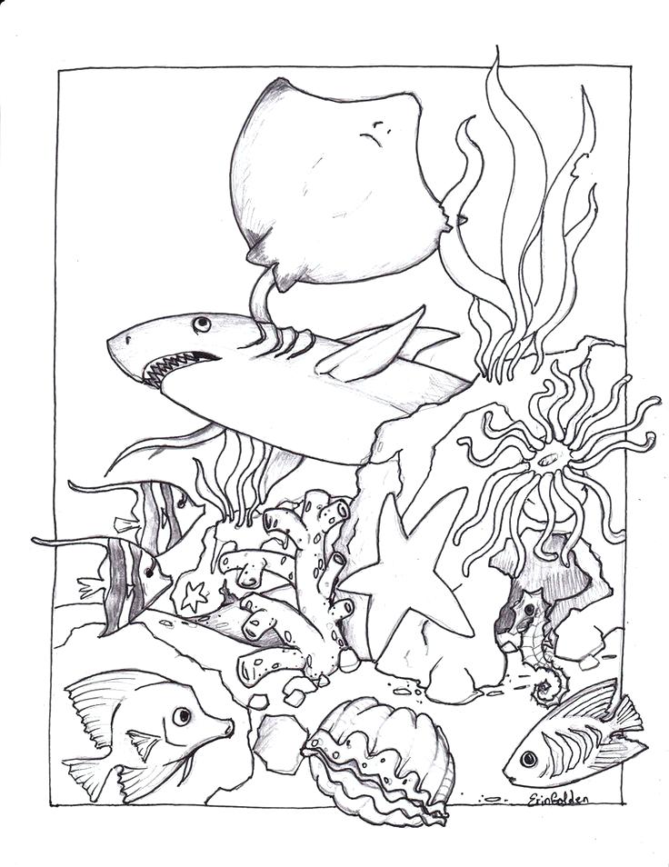 736x954 Manta Ray Coloring Page Best Ocean Coloring Pages Ideas On Ocean