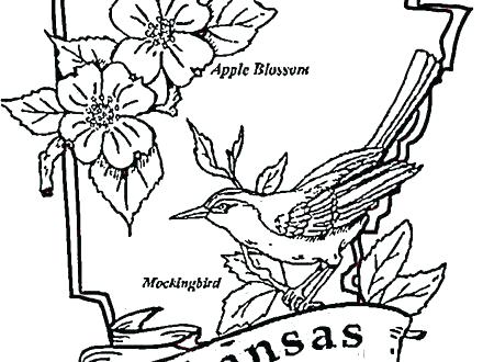 440x330 Arkansas Coloring Pages Map Coloring Page Arkansas Razorback