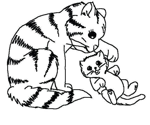600x500 Free Coloring Pages Cats Free Coloring Pages Of Cats Free Coloring