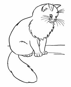 236x288 Printable 29 Realistic Cat Coloring Pages 4753
