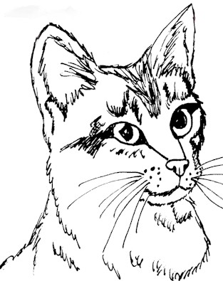 313x395 Coloring Pages Of Real Cats Bgcentrum