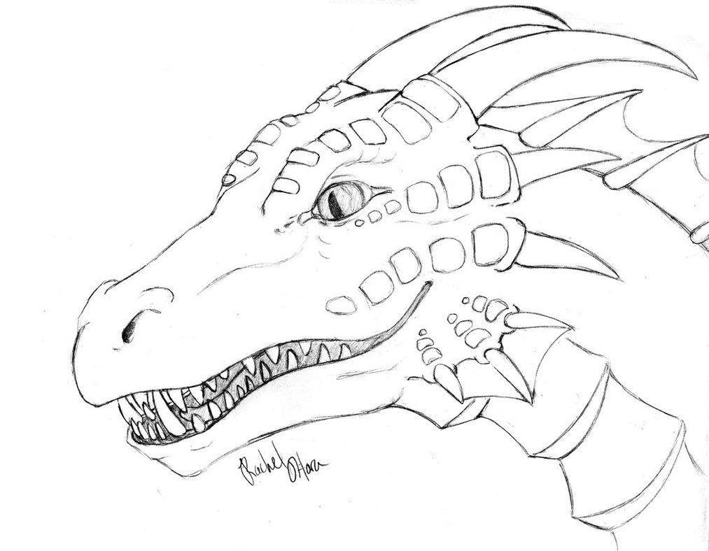 1013x788 Coloring Pages Of Real Dragons
