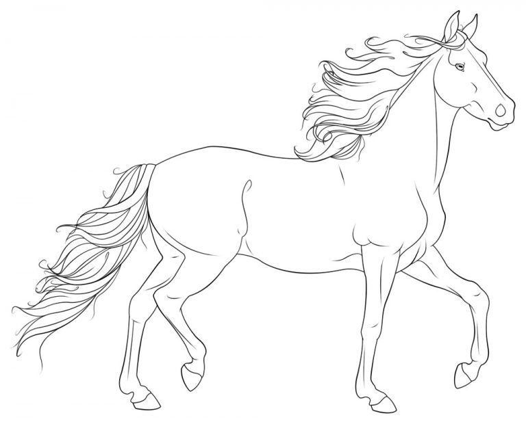 768x620 Coloring Pages Of Real Horses New Free Fresh Realistic Horse