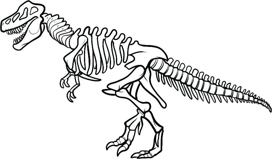 894x522 Dinosaurs Coloring Pages Realistic Dinosaur Bones Coloring Pages