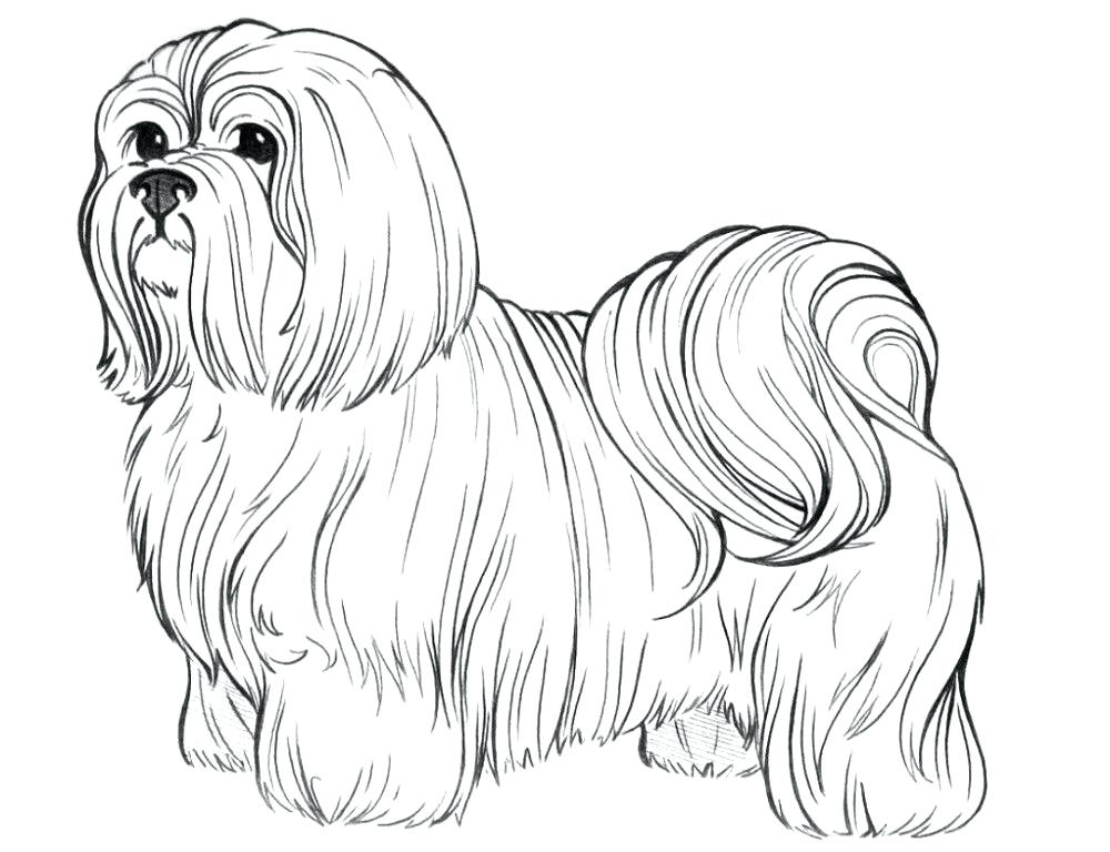 Color By Number Dog Coloring Pages By Number With Best Color By 1000x768 Color By Number Dog Coloring Pages By Number With Best Color By