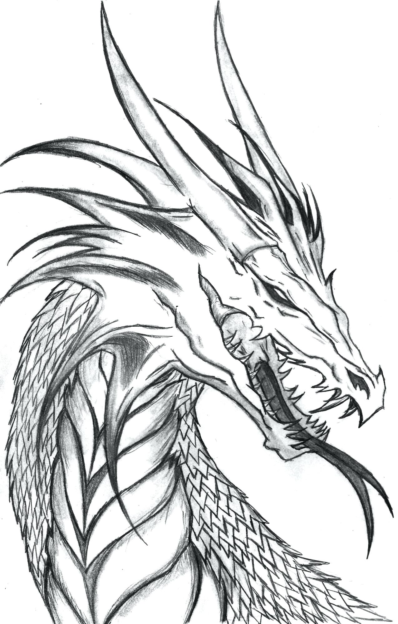 Realistic Coloring Pages Of Dragons 1275x2000 Realistic Coloring Pages Of Dragons