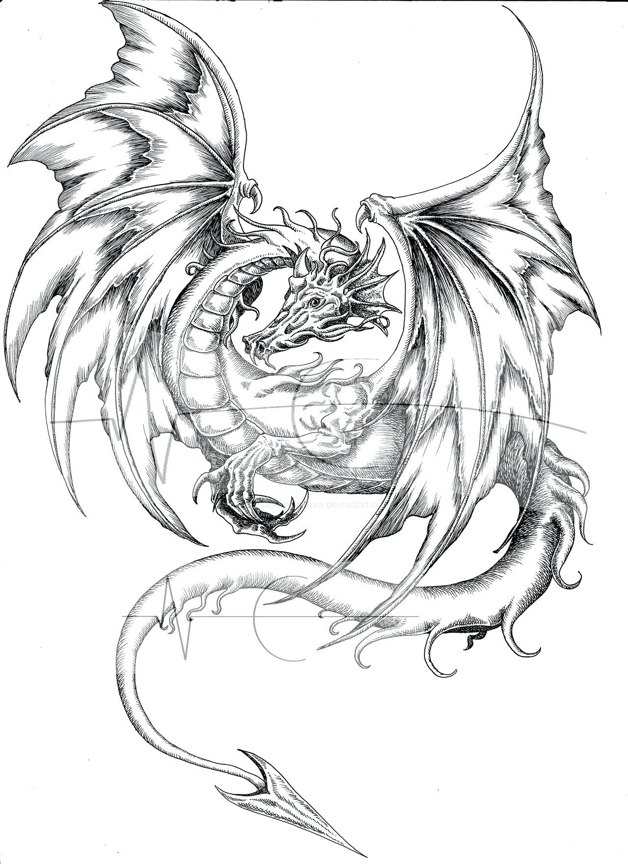 Coloring Pages Of Dragons Realistic Acpra 1280x1760 Coloring Pages Of Dragons Realistic Acpra