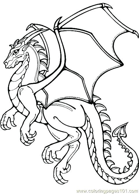 Desdentado Dragon Para Colorear Dragon Coloring Pages Realistic 479x666 Desdentado Dragon Para Colorear Dragon Coloring Pages Realistic
